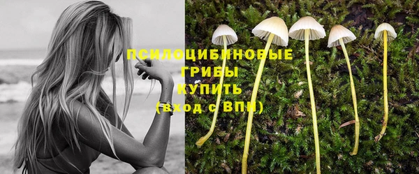 дживик Киреевск